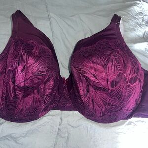 Cacique Deep Plum Lace Underwire Bra